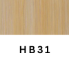 HB31